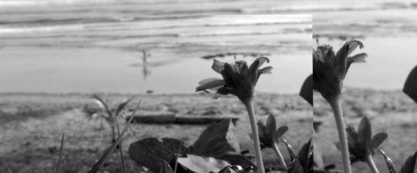 Screen Shot 2014-07-23 at 9.48.50 PM