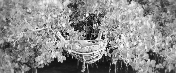 Screen Shot 2014-07-31 at 5.56.51 PM