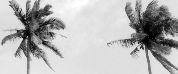 Screen Shot 2014-07-15 at 11.09.22 AM