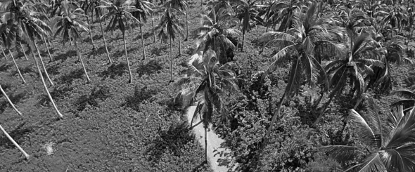 Screen Shot 2014-07-12 at 6.27.46 PM