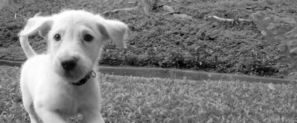 Screen Shot 2014-07-07 at 9.39.15 PM