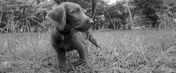 Screen Shot 2014-07-07 at 5.44.41 PM