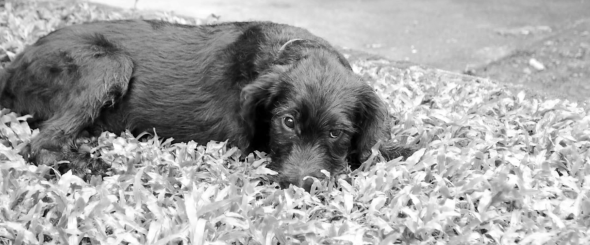 Screen Shot 2014-08-03 at 5.19.40 PM