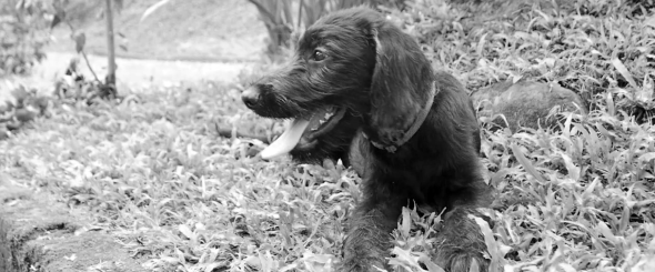 Screen Shot 2014-08-03 at 5.20.23 PM