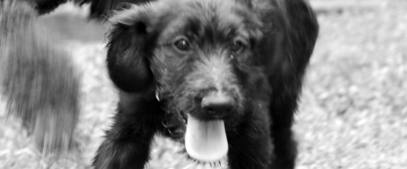 Screen Shot 2014-08-03 at 5.21.04 PM