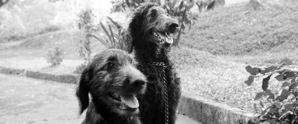 Screen Shot 2014-08-04 at 11.38.02 AM