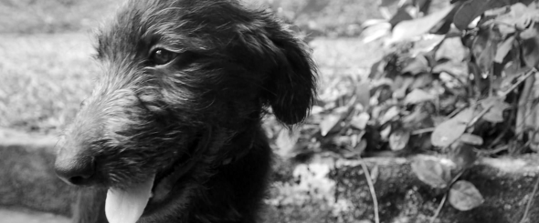 Screen Shot 2014-08-04 at 11.38.24 AM