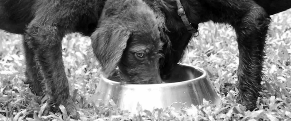 Screen Shot 2014-08-04 at 9.43.30 AM