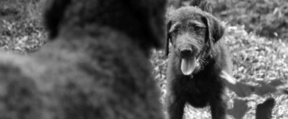 Screen Shot 2014-08-04 at 9.44.12 AM