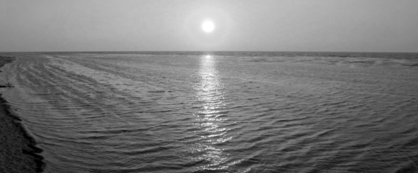 Screen Shot 2014-09-07 at 11.01.19 AM