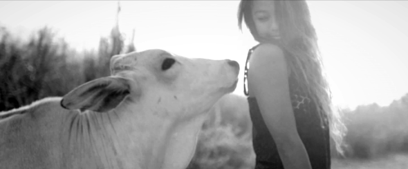 Screen Shot 2014-11-13 at 1.42.56 PM