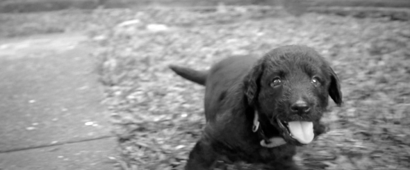 Screen Shot 2015-01-24 at 1.24.48 PM