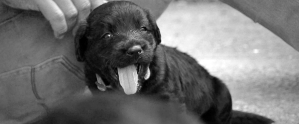 Screen Shot 2015-01-24 at 1.25.35 PM