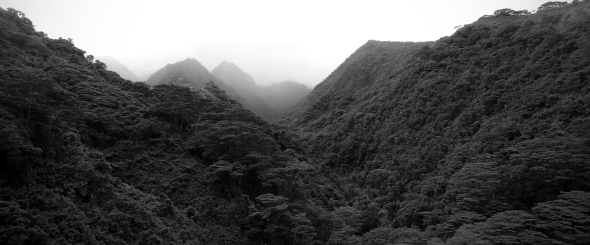 Screen Shot 2015-08-03 at 8.19.26 AM