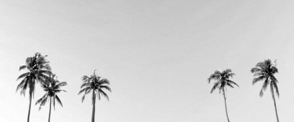 Screen Shot 2015-12-05 at 12.01.16 AM