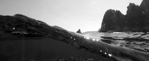 Screen Shot 2015-12-08 at 2.19.23 PM