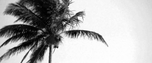 Screen Shot 2015-12-11 at 8.57.15 PM